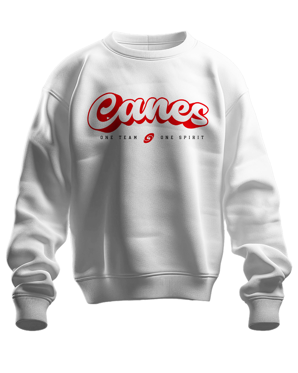 Saarland Hurricanes - Crewneck One Team One Spirit [white]